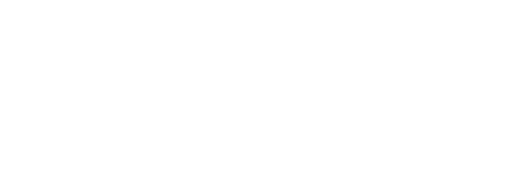 Opalus Group